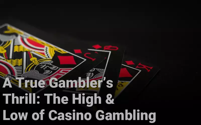 A True Gambler’s Thrill: The High & Low of Casino Gambling